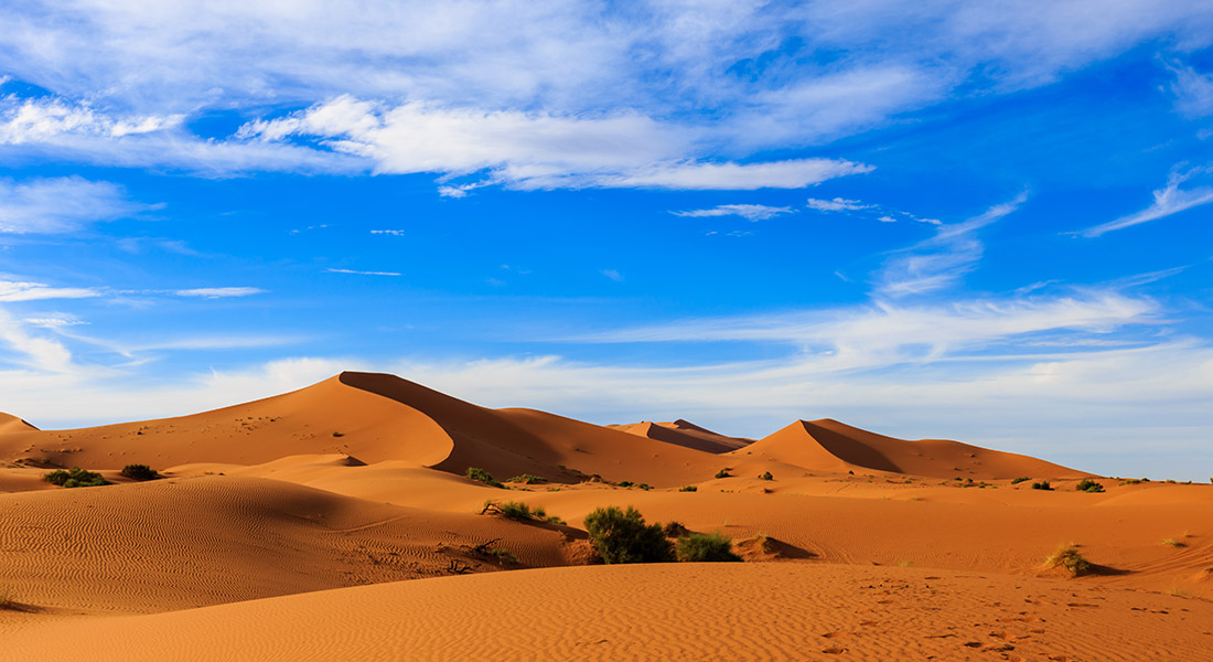 sahara desert morocco